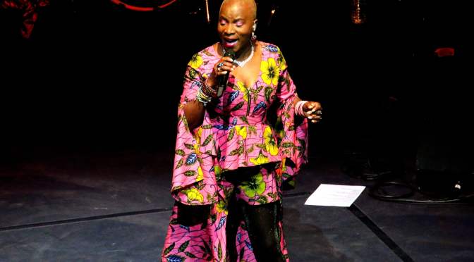 Angelique Kidjo à l&rsquo;auditorium de Lyon (France) : Album photos.