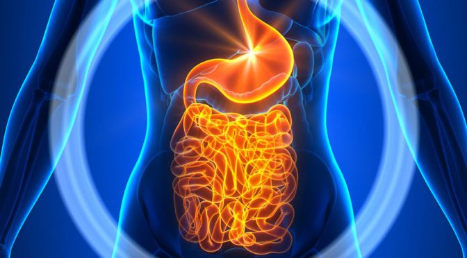 Santé : Un expert nutritionniste révèle des remèdes naturels pour soulager les problèmes de digestion et à perdre du poids.