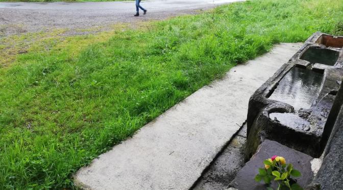 France : La femme de 51 ans frappée à coups de pierres au visage est morte.