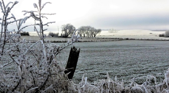 Une vague précoce de froid extrême jamais vu depuis 50 ans frappe le Pérou!