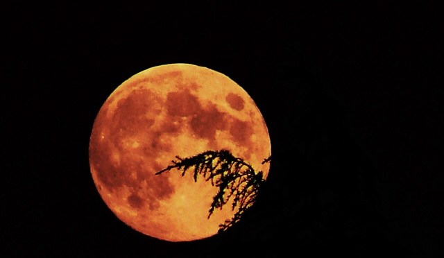 Comment assister à la &laquo;&nbsp;super Lune tonnerre&nbsp;&raquo; dans la nuit de ce mercredi 13 au jeudi 14 juillet ?