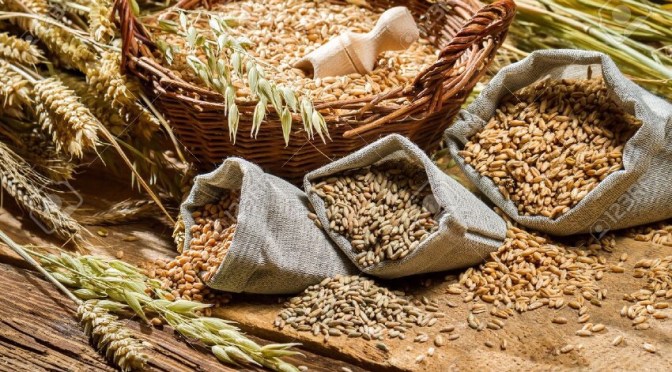 Voici à quoi ressemble un menu traditionnel du temps de la préhistoire