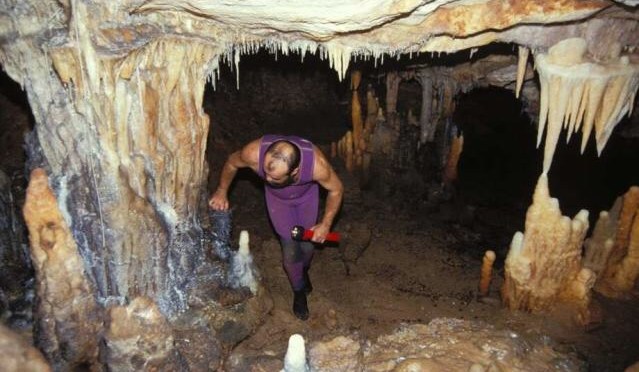 Un site préhistorique vieux de 6 000 ans découvert par hasard dans une forêt en France