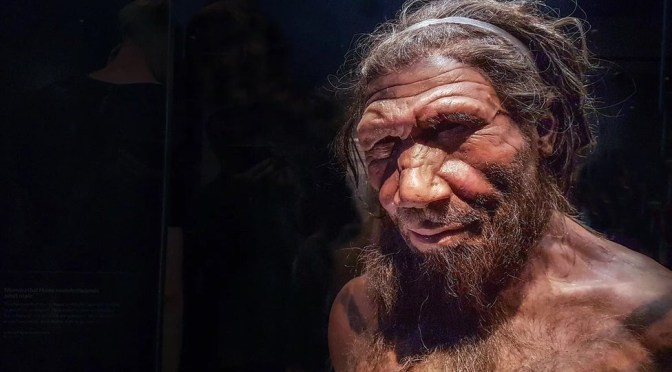 L&rsquo;homme de Néandertal et l&rsquo;humain moderne ont coexisté en Europe durant plus de 2 000 ans, selon une étude
