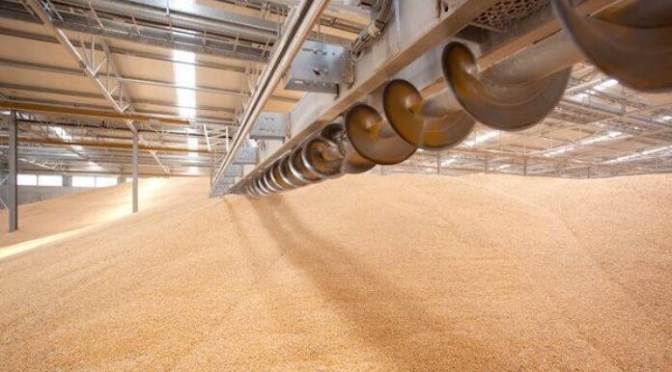 Guerre Russie-Ukraine : l&rsquo;accord sur les exportations de céréales ukrainiennes est prolongé de 120 jours