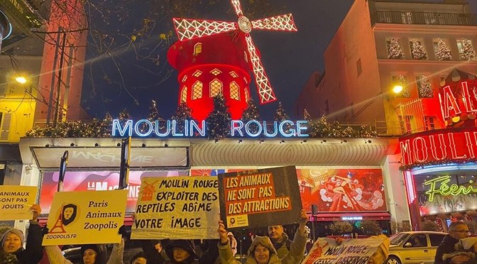 Paris : Une manifestation devant le moulin rouge pour dénoncer la présence de serpents dans un spectacle