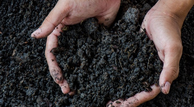 États-Unis : 6 états autorisent désormais le compost humain!
