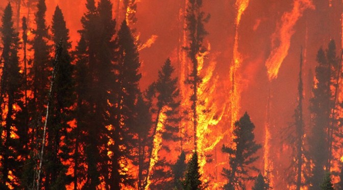 Peste bleue qui a dévasté l&rsquo;URSS dans les années 1970, tempête solaire au États-Unis, tremblement de terre gigantesque – comment l’IA crée de faux drames ?