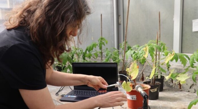 L’université de Tel Aviv enregistre pour la première fois des plantes qui « parlent »