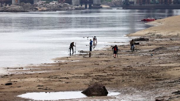 Guerre Russie-Ukraine : La Russie inquiète de l&rsquo;utilisation, par l&rsquo;Ukraine, de « moustiques infectés »