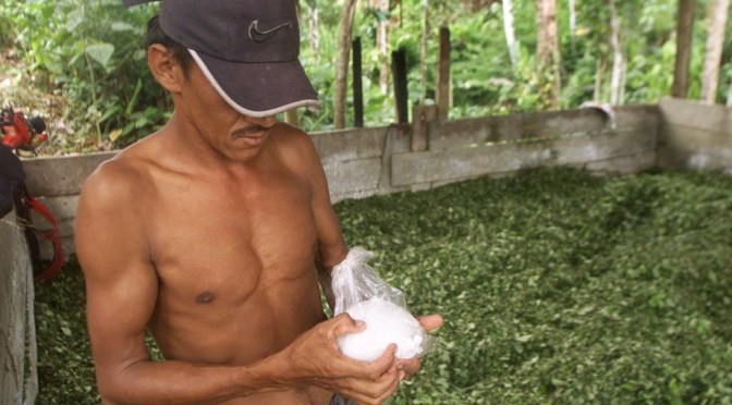 En Colombie, la débâcle du marché de la cocaïne entraîne la chute de familles entières dans la misère