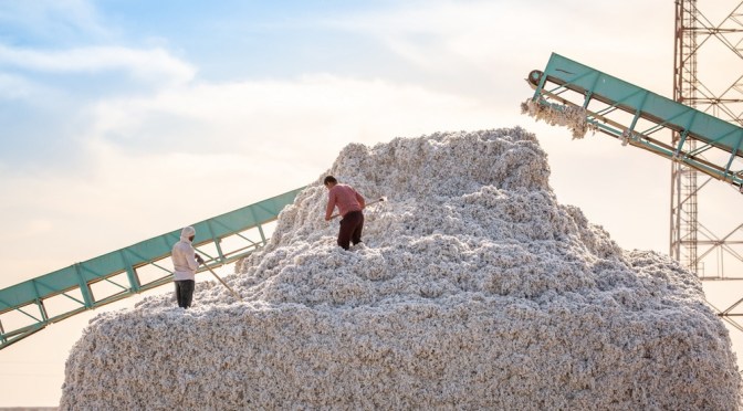 UE : les eurodéputés votent pour l’interdiction des produits issus du travail forcé