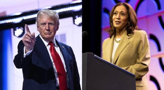 Élection présidentielle états-unienne : Kamala Harris contre Donald Trump : ce que disent les derniers sondages