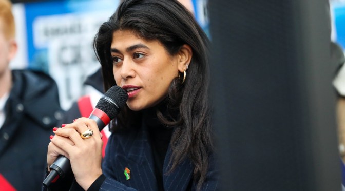 France : Une cinquantaine de députés &laquo;&nbsp;Renaissance&nbsp;&raquo; demandent la levée de l&rsquo;immunité parlementaire de Rima Hassan (LFI)