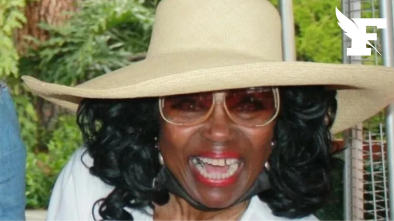 Los Angeles (États-Unis) : L’actrice Dalyce Curry (Blues Brothers, Les ...
