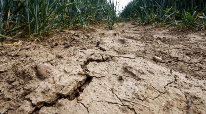 Environnement : La planète perd de l’eau – une étude révèle que l’humanité a modifié durablement le cycle hydrologique