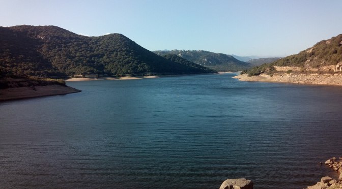 Corse du Sud (France) : face à la sécheresse, des habitants soumis à des mesures radicales