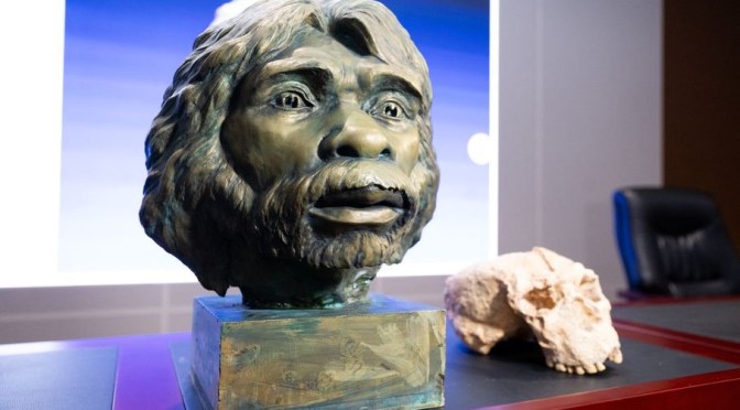 Un crâne vieux d’un million d’années bouleverse les origines de l’homme moderne