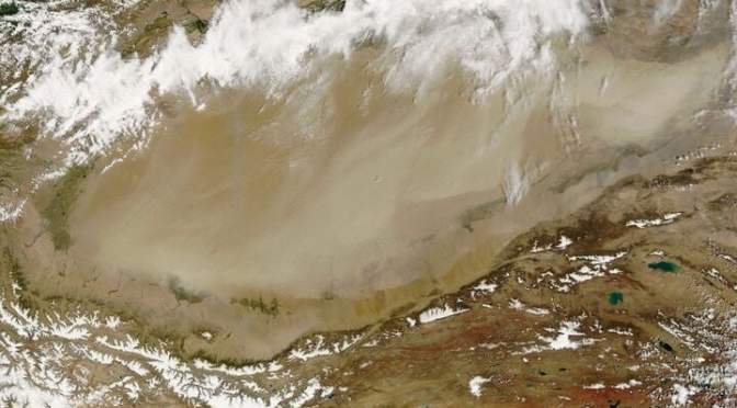 Taklamakan : la lutte contre la désertification transforme un désert chinois en absorbeur de CO₂